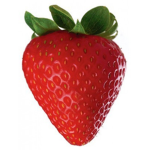 DatStrawberry clan group