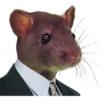 Fancy Rat’s