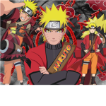 Naruto Shippuden Heroes Fight