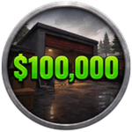 Net Worth $100,000