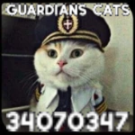 Guardians Cats