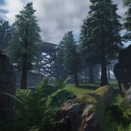 The forest