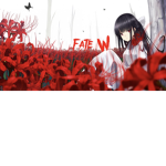 FateWW