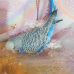 -Hummingbird Squad-