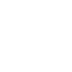 DICE RNG