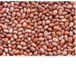 The real bean clan