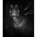 Dragonfire Group