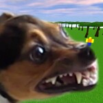 be a dog and get rabies