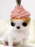 Peach_soul