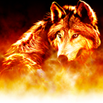 FireWolf Nation