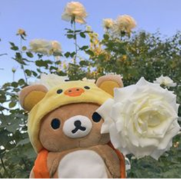 ♡