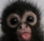 A Good Group Name!
