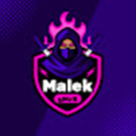 Malek & Anas's Group