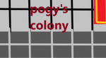 Poggy's colony
