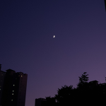 보비교
