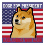 Doge incorp