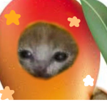 Mangozz