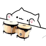 Bongo cat cult