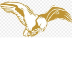 GOLDEN EAGLE TEAM