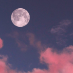 Sweet Dream$