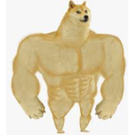 BUFF DODES GANG