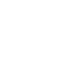 SG Customs Purchase Hub