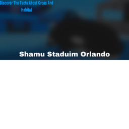 ShamU Staduim Orlando