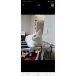 아꿍