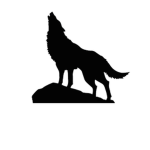 Wolf Moon Inc.