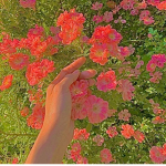 .flora.