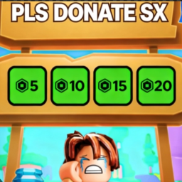 [PRIVatE Due to bugs] PLS DONATE SX💸
