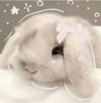 ୨୧ cutesy ୨୧