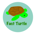 Fast turtle official group