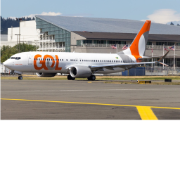 Gol Transportes Aéreos Flight 1907