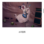 하융이의 세계!!
