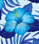 Blue Blossoms Community