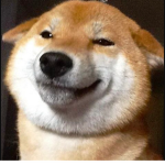 The_Animal_World