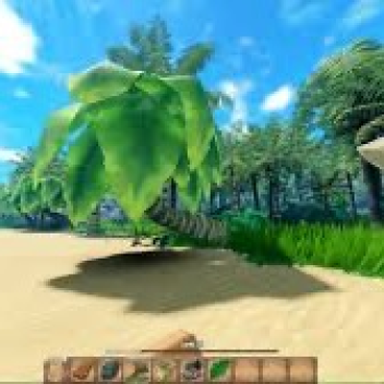 island hangout