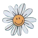 The Sleepy Daisies