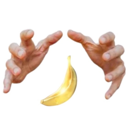 Find The Bananas (WIP)