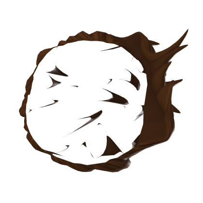 noah Roblox item