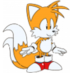 The Offical Sonic Fan Club