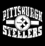 Steel3rs Fan Group