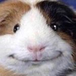 ˑ1