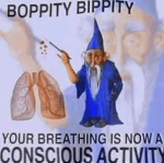 whizz'n