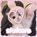 stufcore