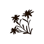 House of Edelweiss