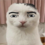 doge hotel 2
