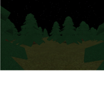 Survival Forest Camp Group