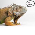 Official IguanaPlayz
